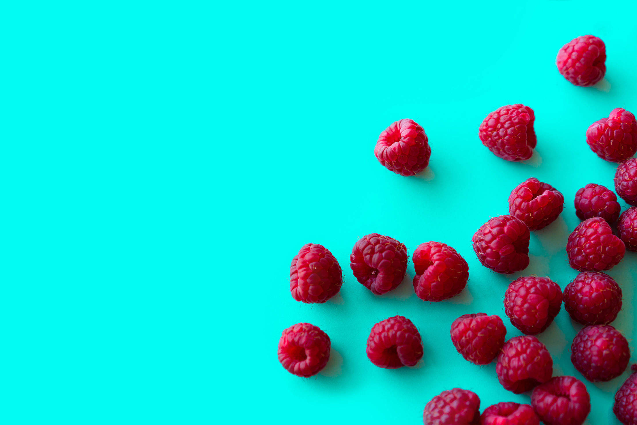 Raspberries with Blue Background Space for Text Free Stock Photo | picjumbo