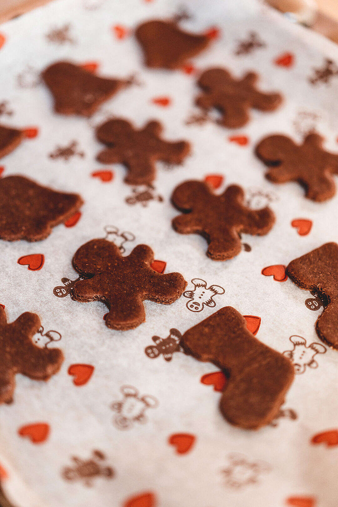 Raw Christmas Gingerbread