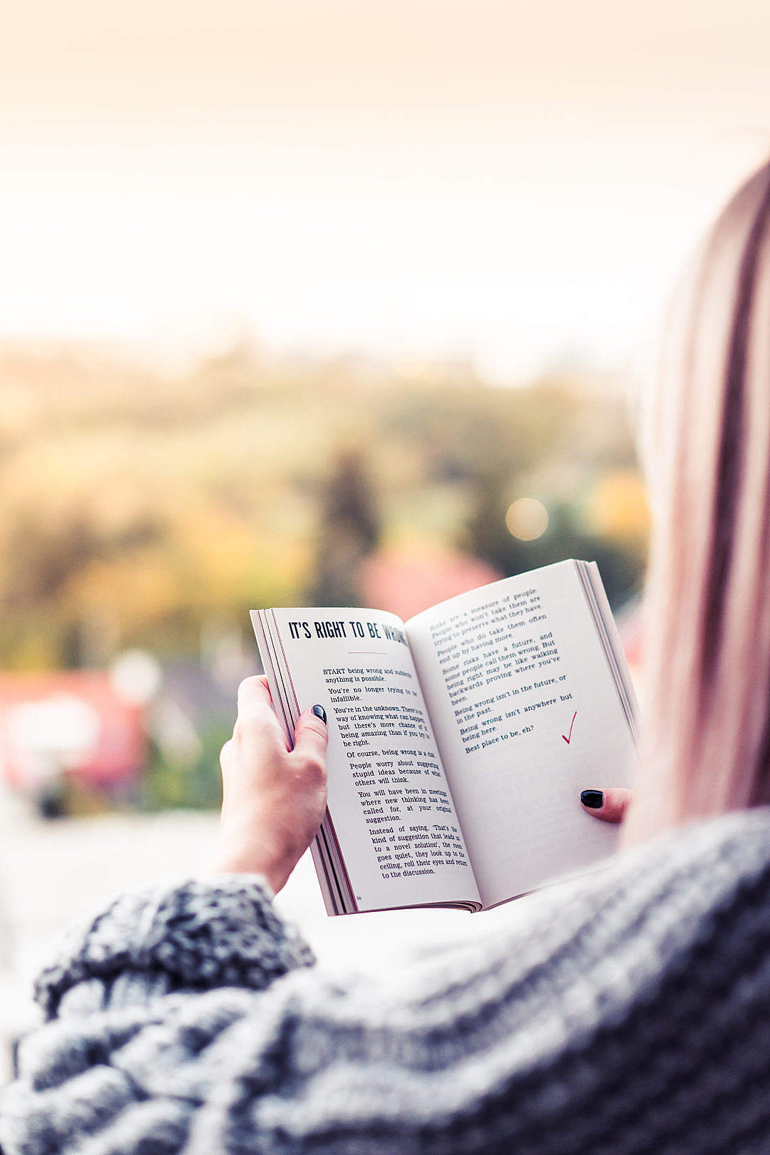 Download Reading a Book FREE Stock Photo