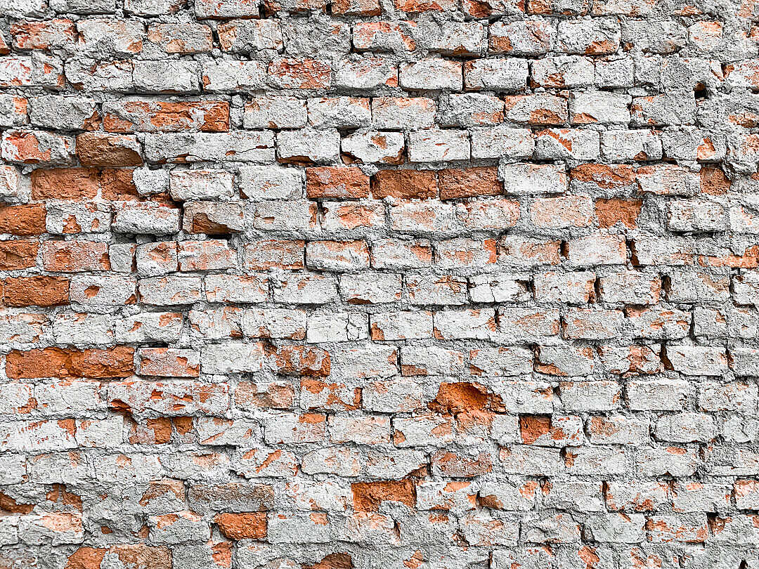 Download Red Brick Old Wall FREE Stock Photo