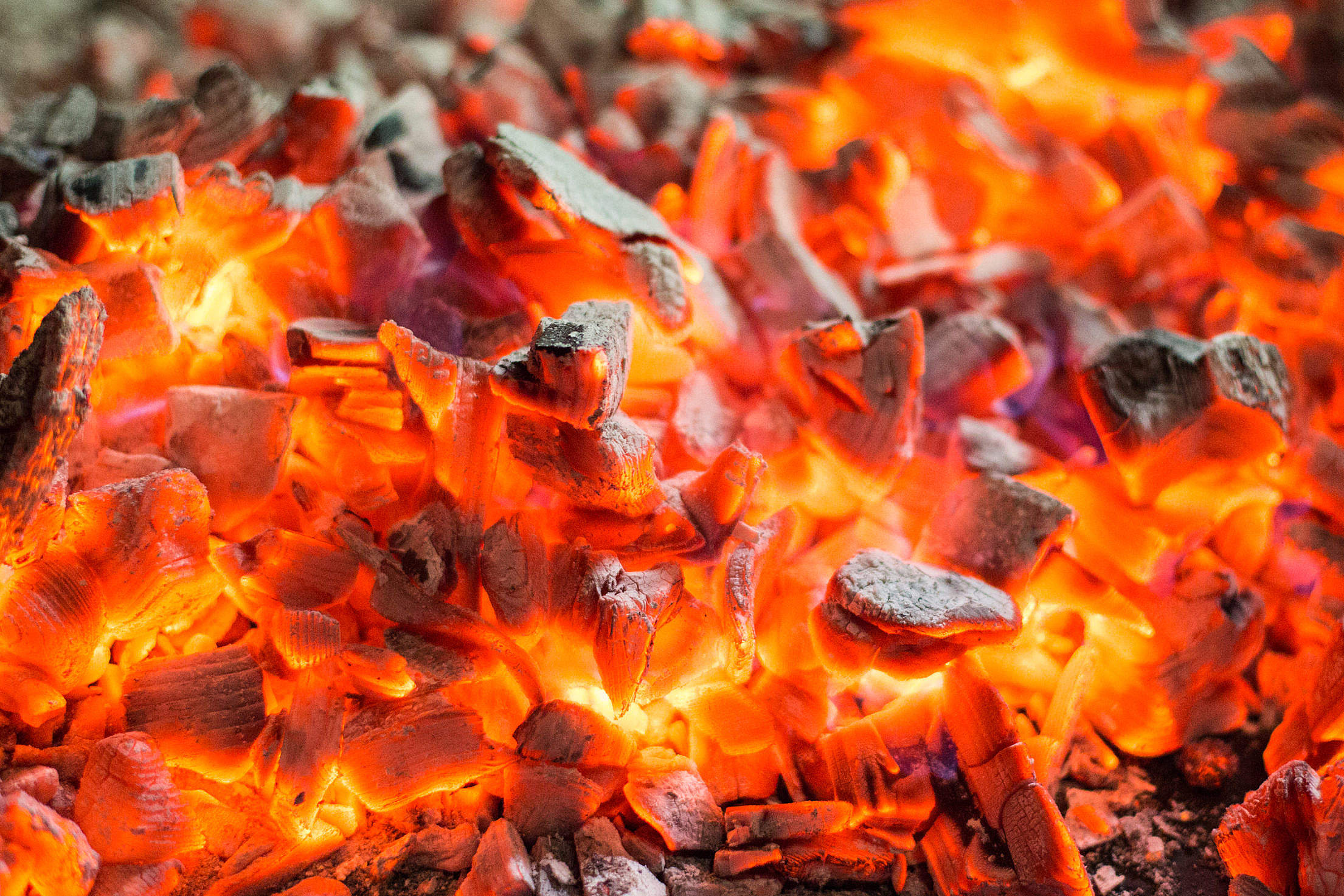 Red Burning Live Coals Campfire Free Stock Photo