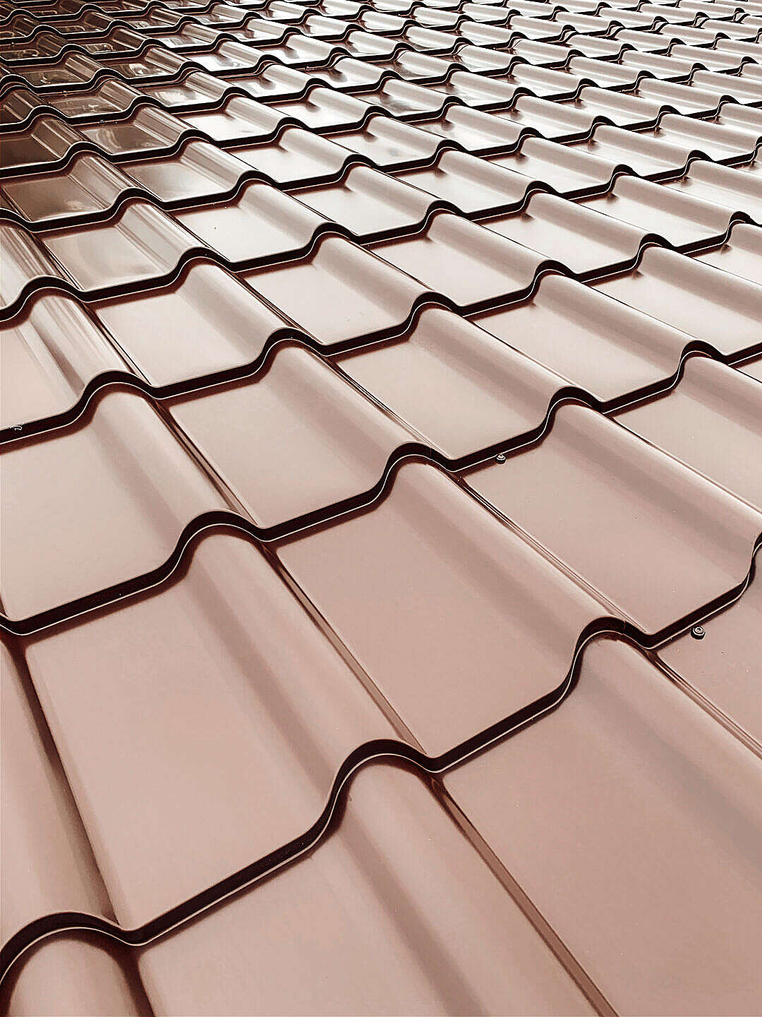 Download Red Roof Tiles Detail FREE Stock Photo
