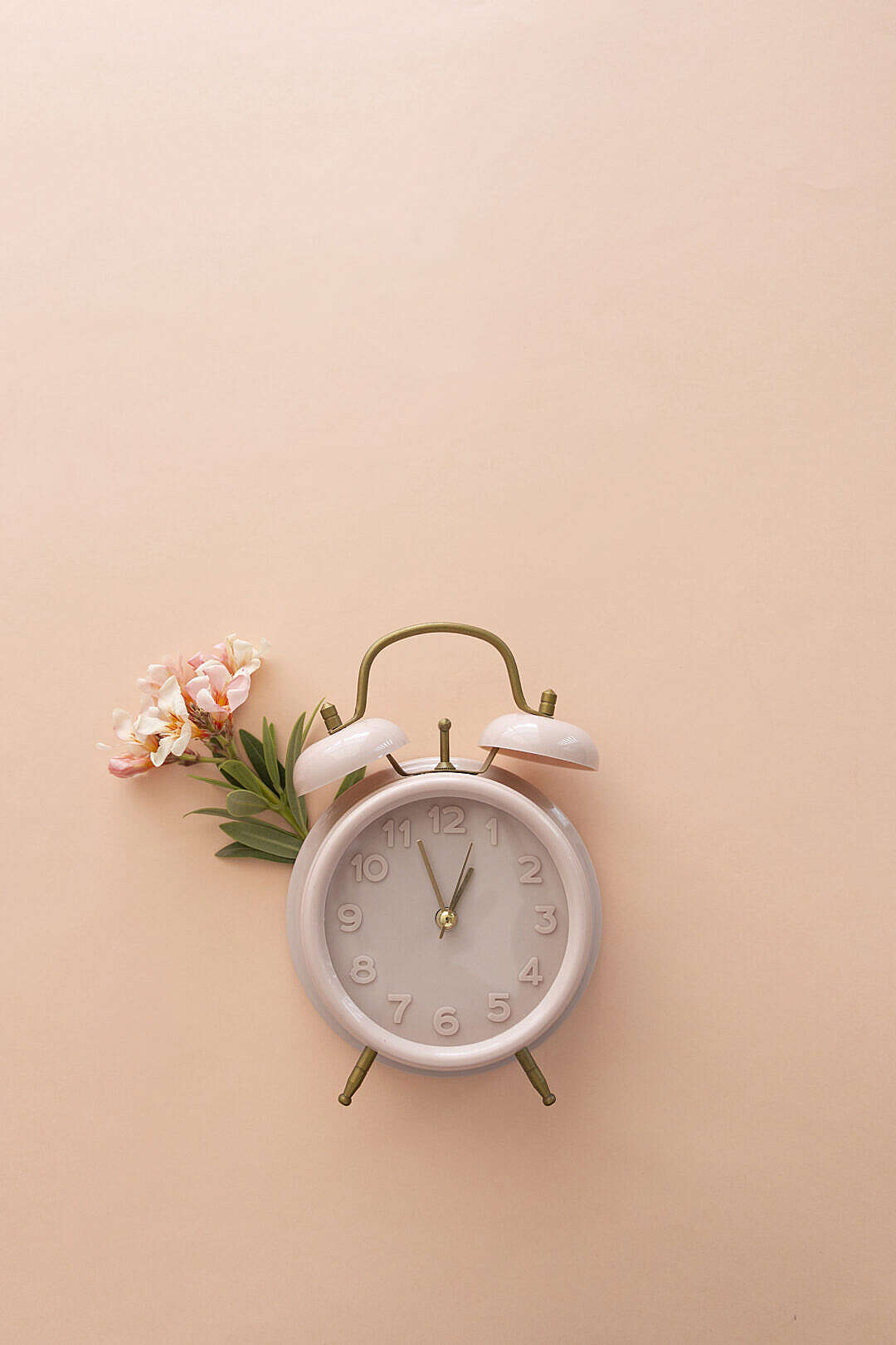 Retro Clock with Flower on Pastel Background