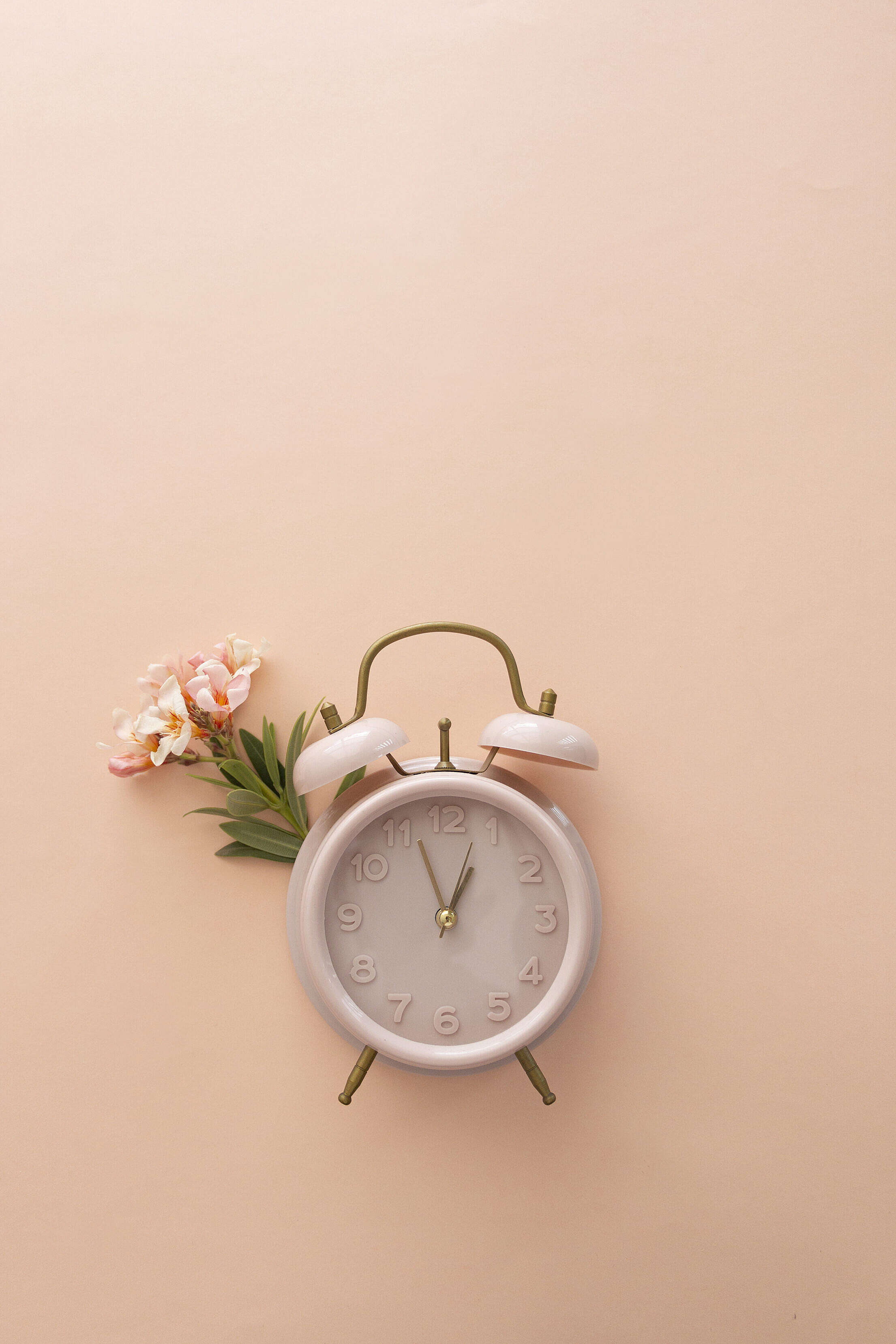 Retro Clock with Flower on Pastel Background Free Stock Photo  picjumbo