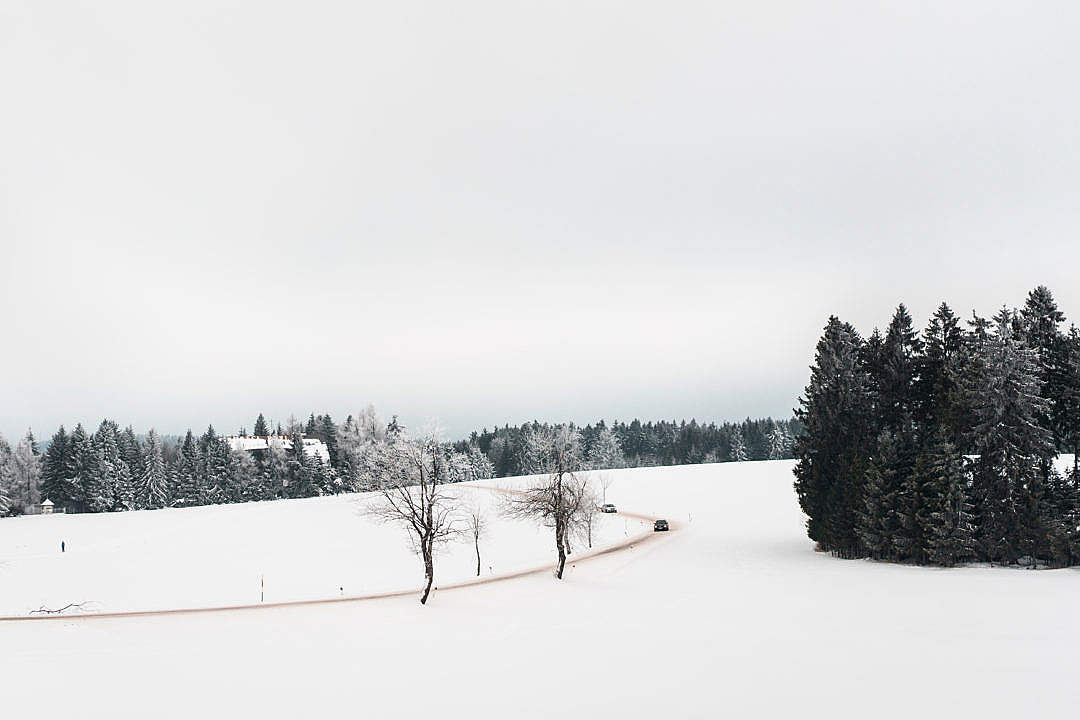 Download Road and Fields Covered with Snow FREE Stock Photo