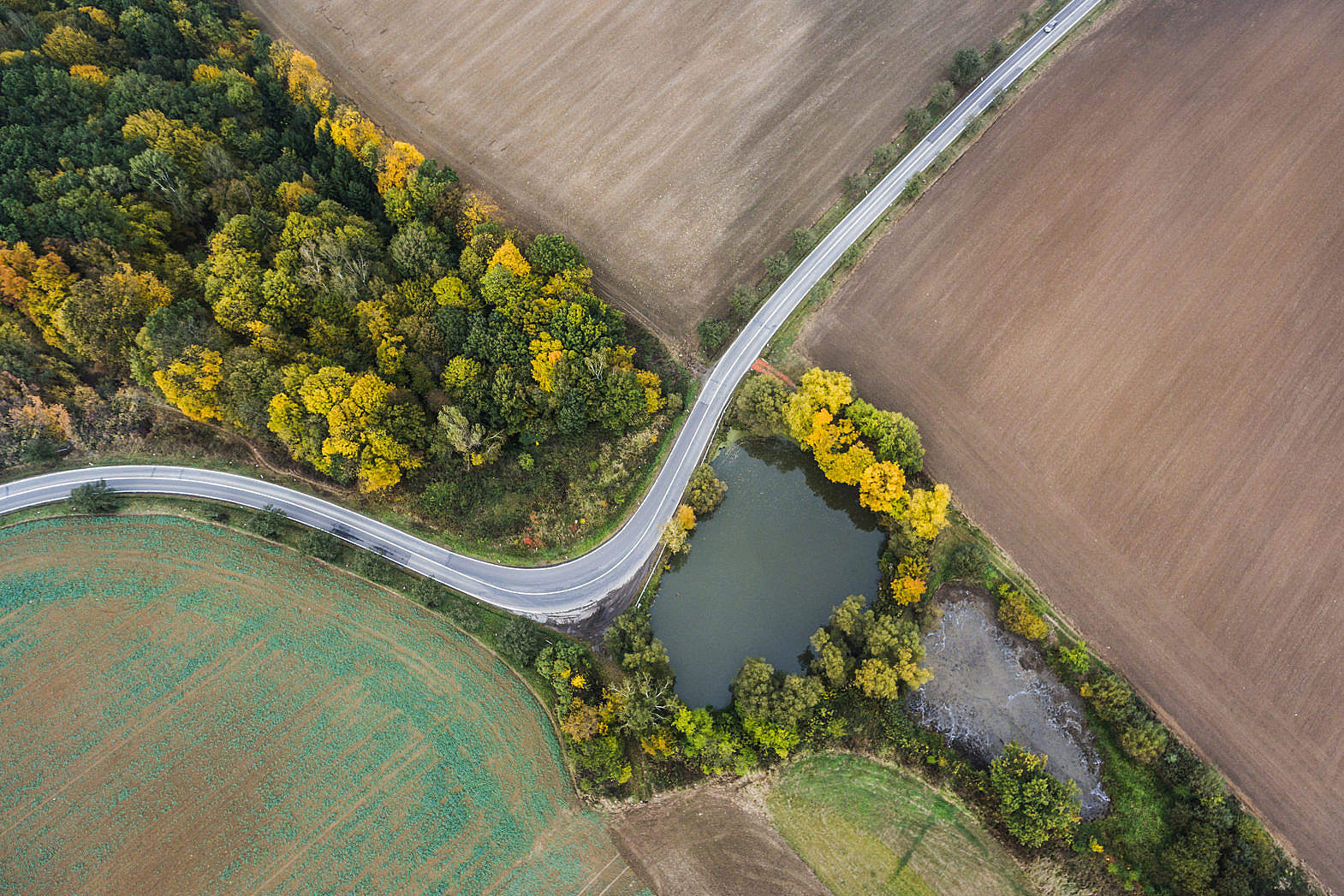 Road from Above Bird's View Free Stock Photo | picjumbo