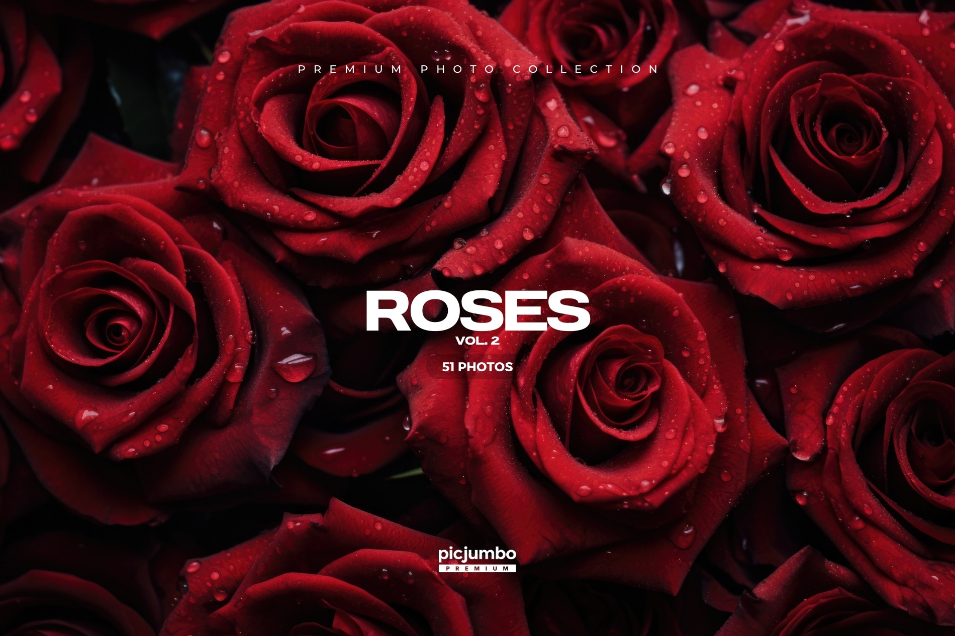 Download hi-res stock photos from our Roses Vol. 2 PREMIUM Collection!