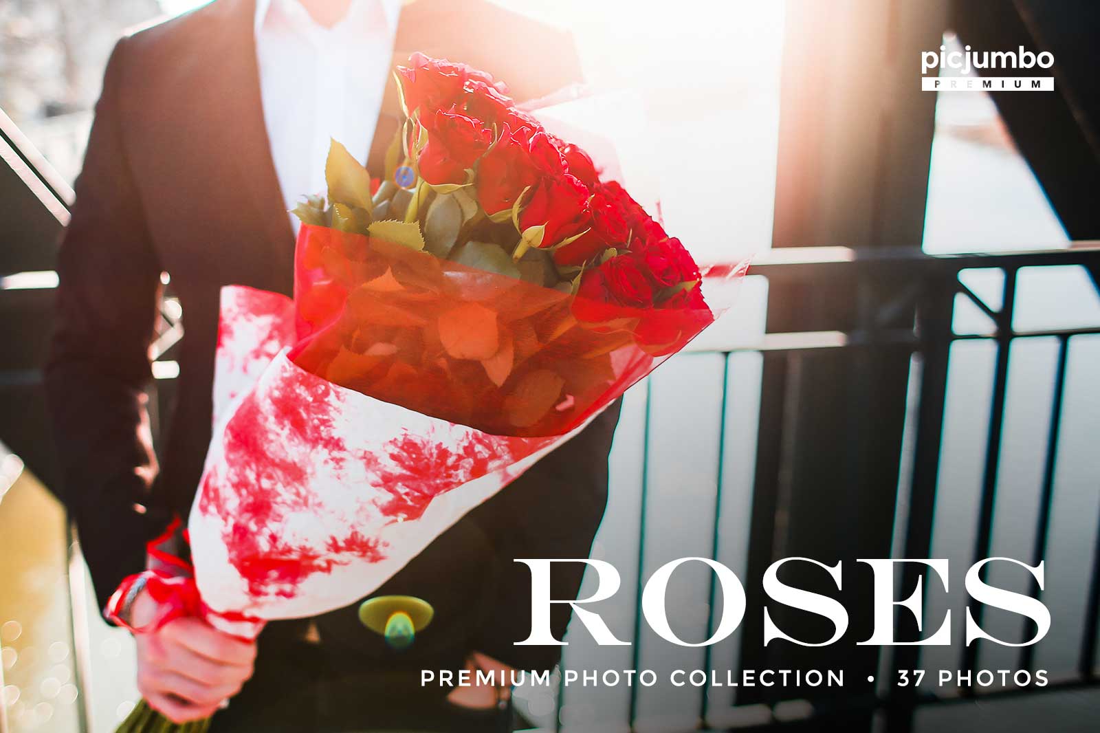 Download hi-res stock photos from our Roses PREMIUM Collection!