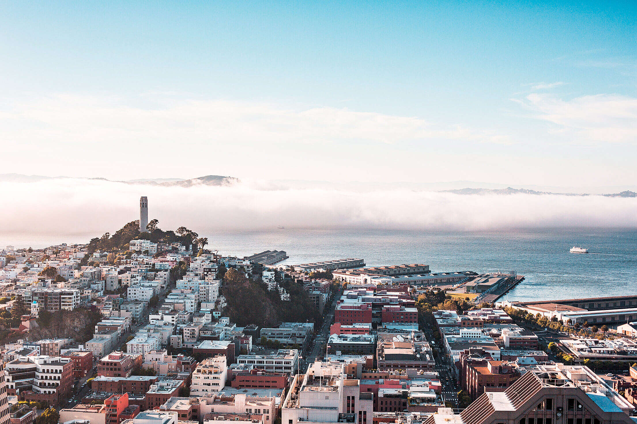 San Francisco Bay Panorama With Coit Tower Free Stock Photo