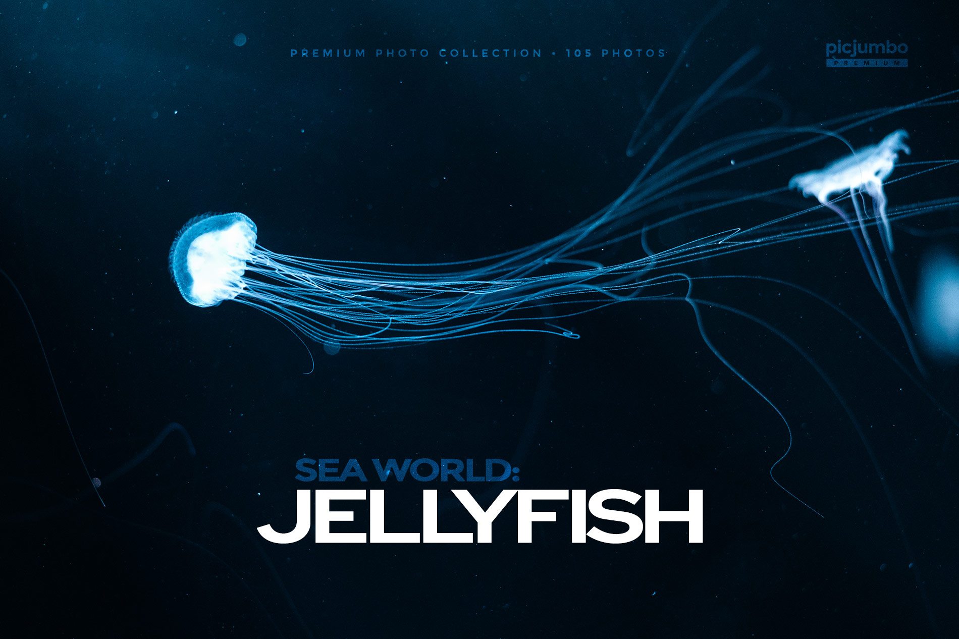 Download hi-res stock photos from our Sea World: Jellyfish PREMIUM Collection!