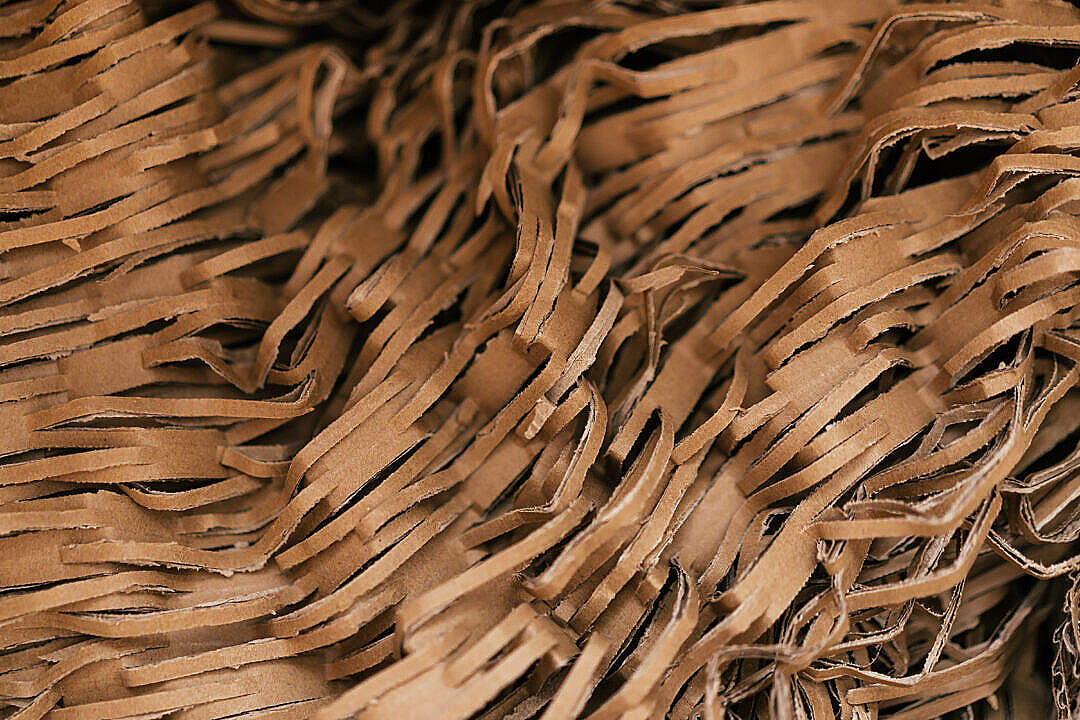 download shredded cardboard