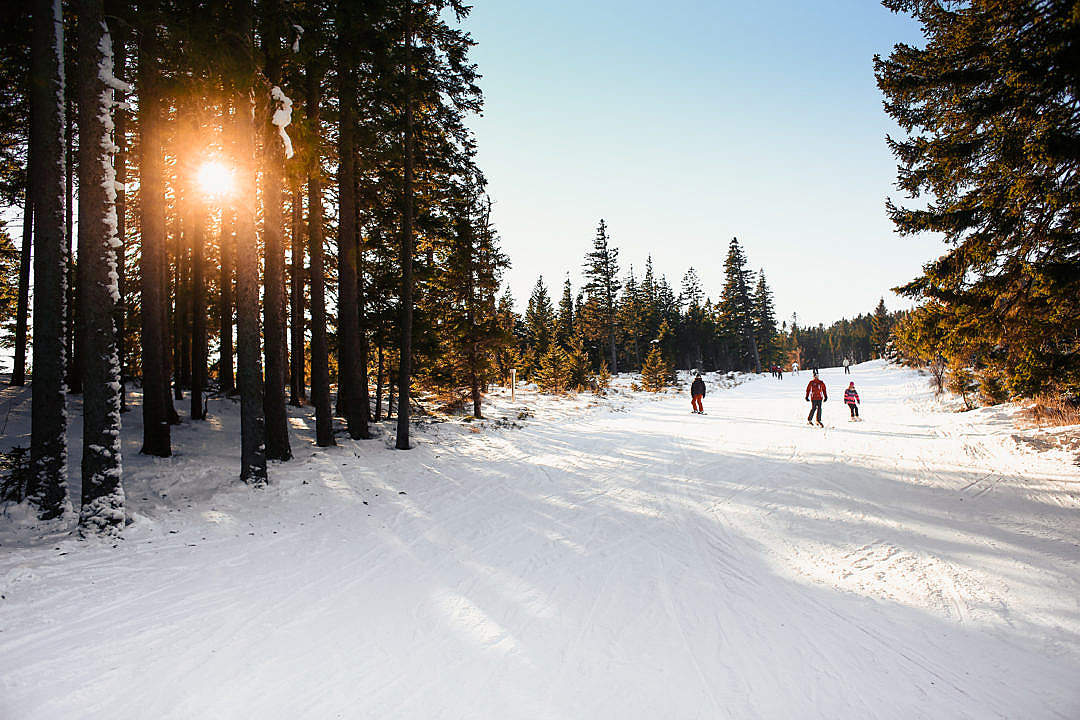 Download Ski Slope Sunny Skiing under Bright Sky FREE Stock Photo