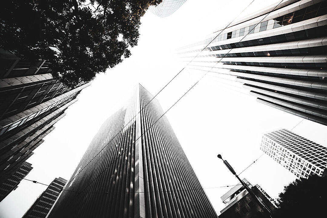 Download Skyscrapers FREE Stock Photo