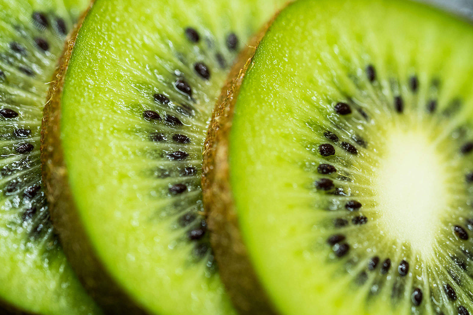 Slices of Kiwi Free Stock Photo | picjumbo