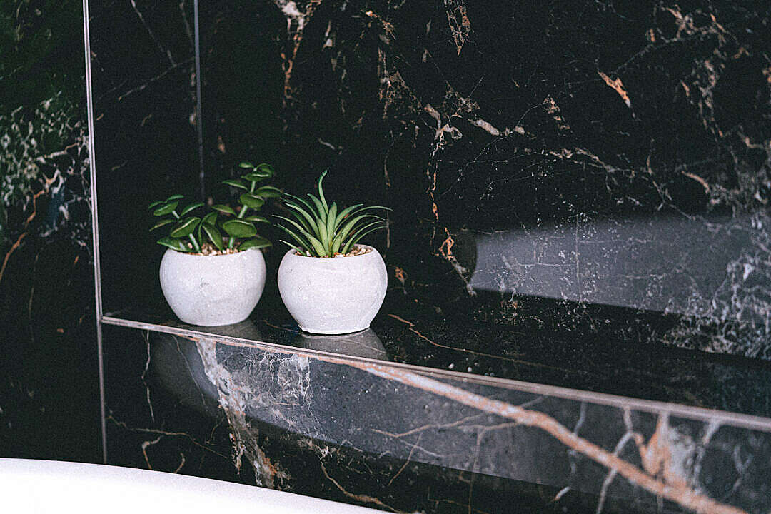 Download Small Concrete Flower Pots Decorations in Black Marble Bathroom FREE Stock Photo