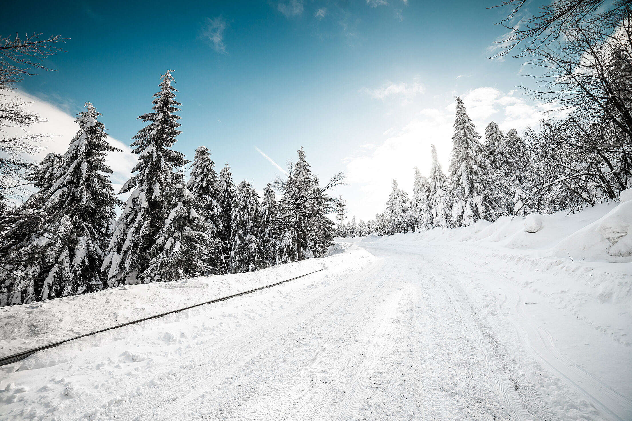 Snow Covered Road Free Stock Photo