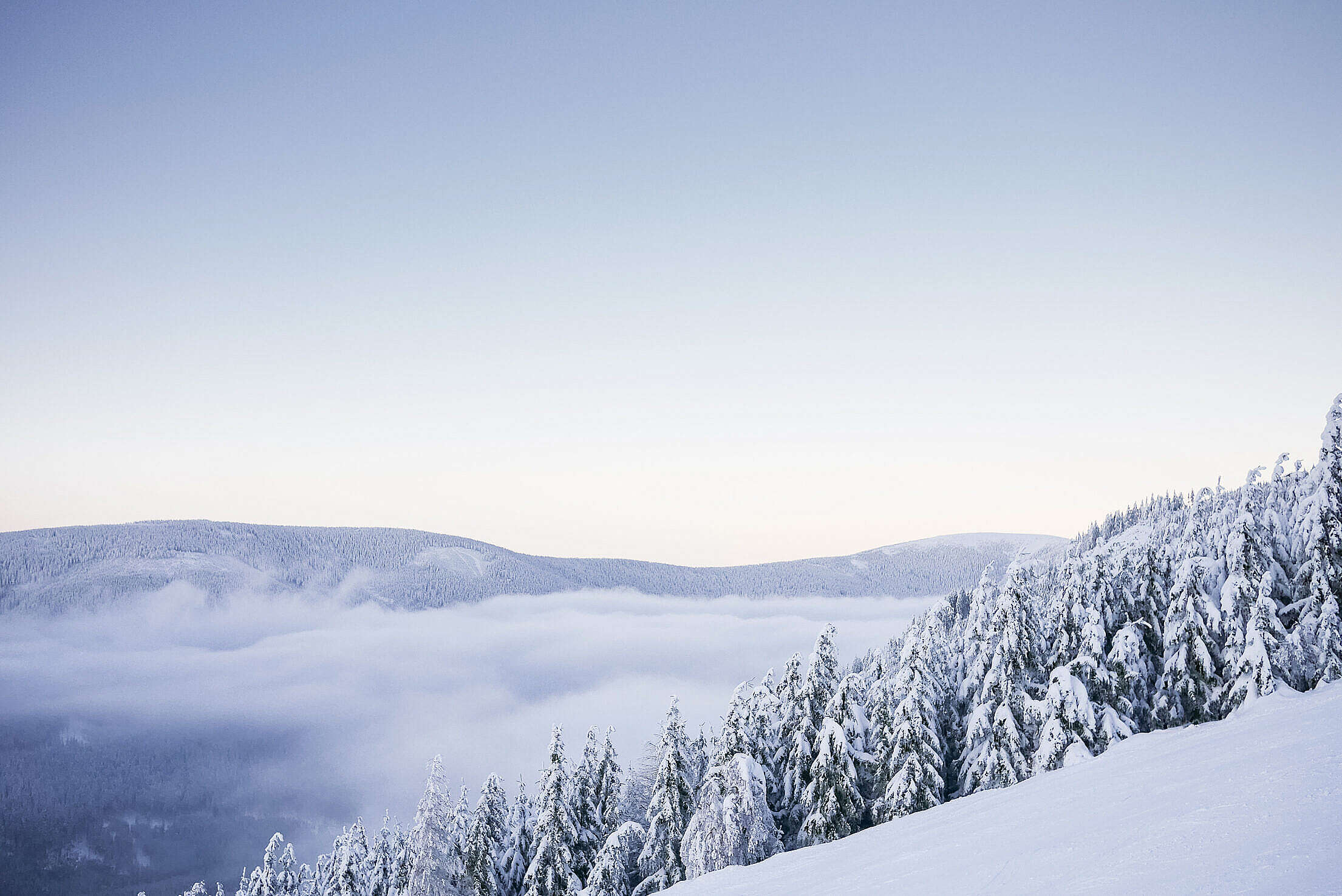 Snowy Forest in the Mountains and Sky with Space for Your Text Free Stock Photo