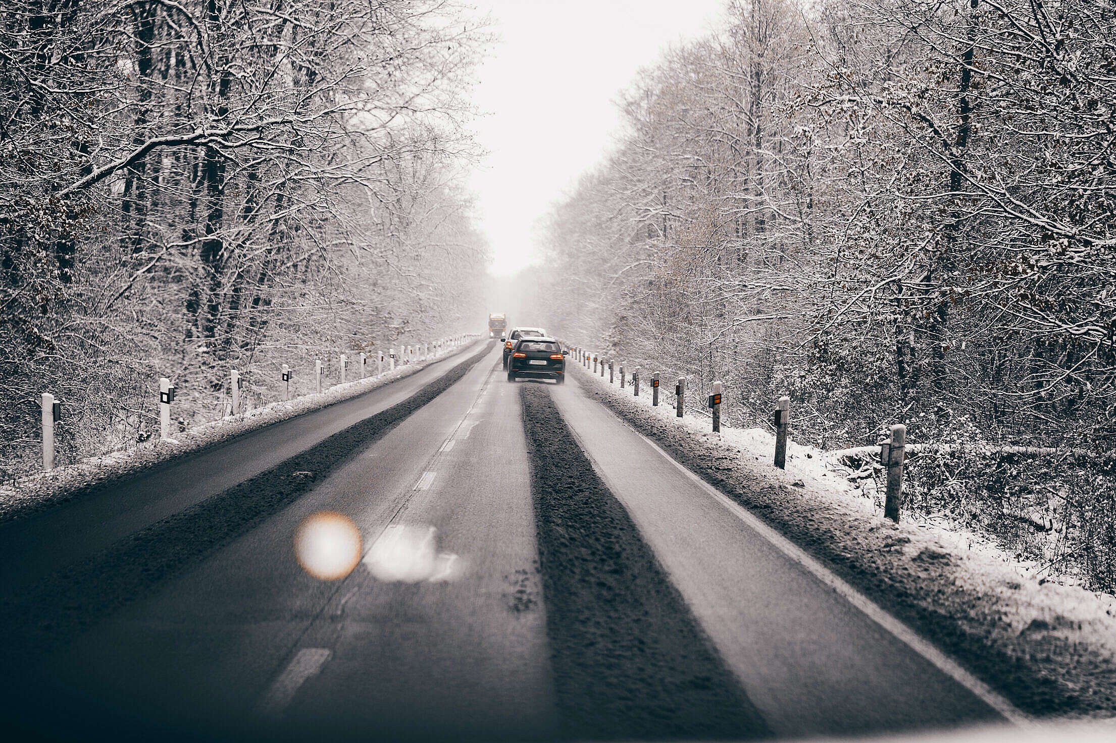 Snowy Road in The Forest Free Stock Photo