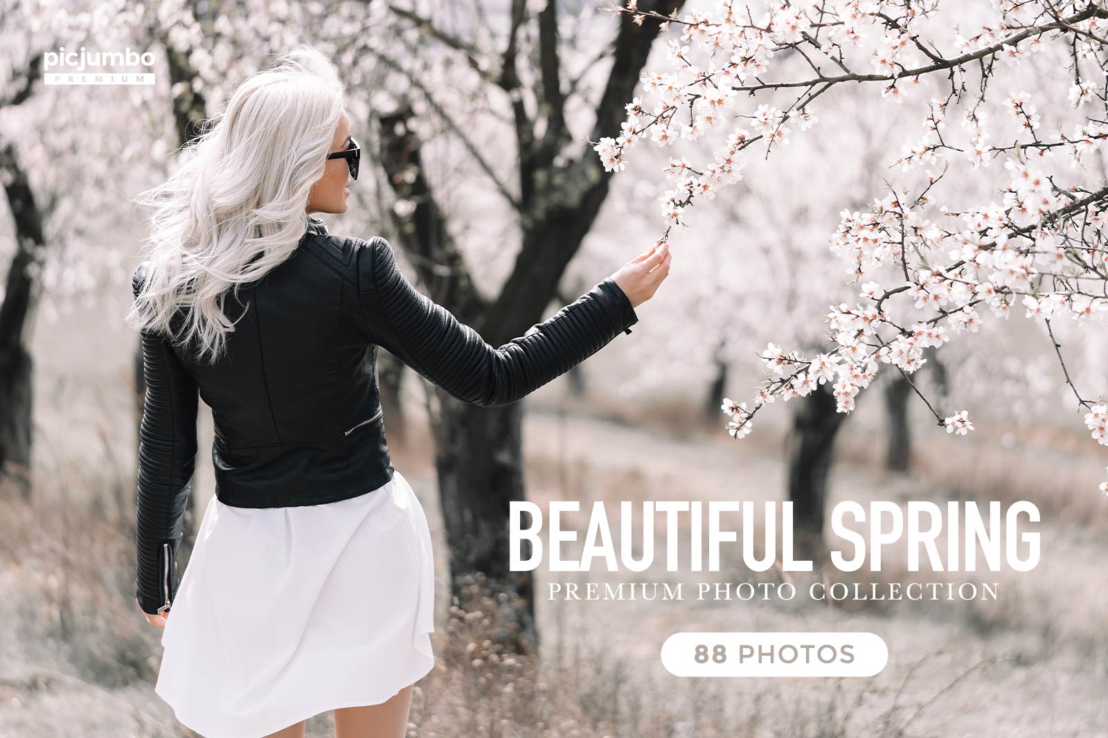 Beautiful Spring Stock Photo Collection