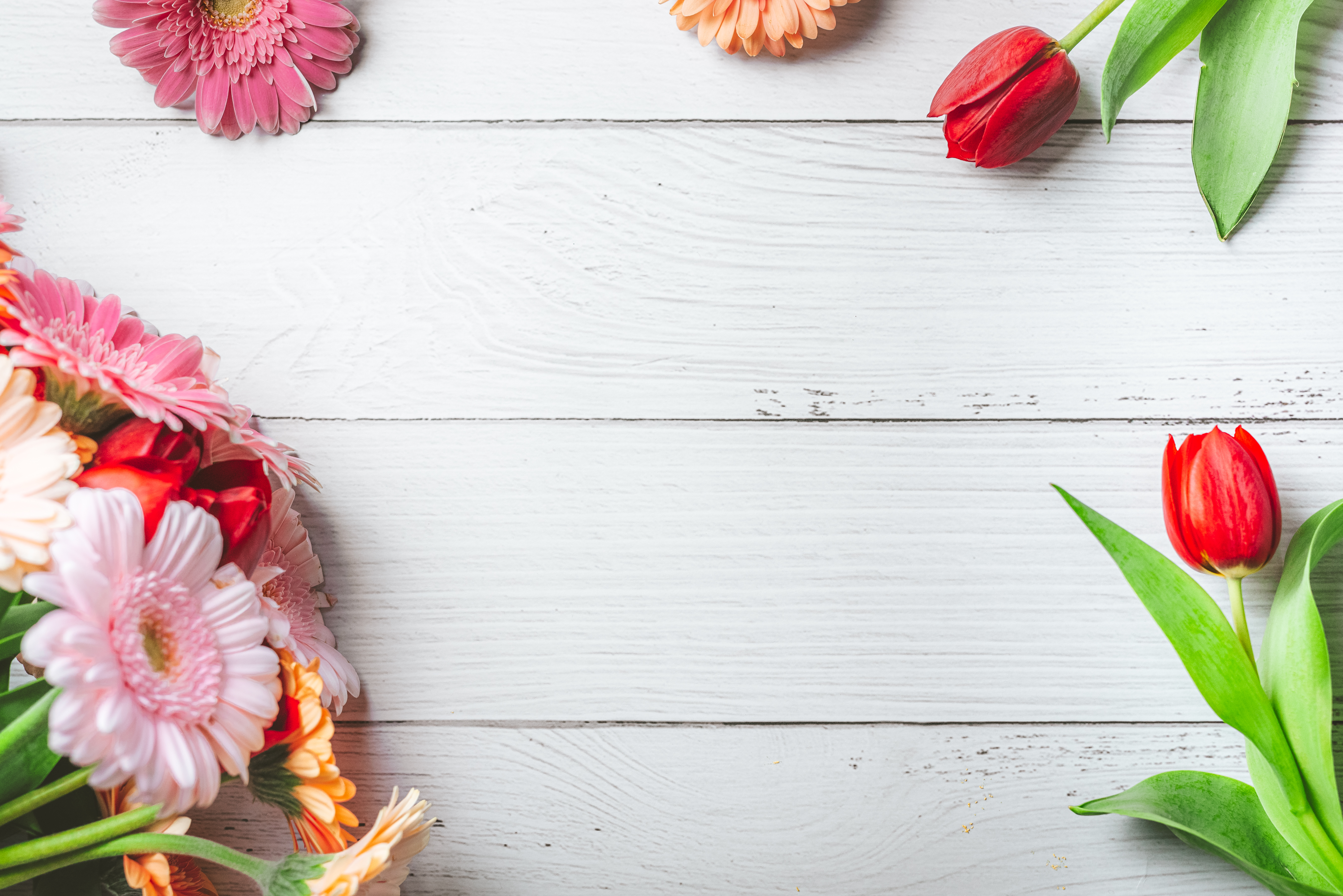 Spring Hero Background with Flowers Free Stock Photo | picjumbo