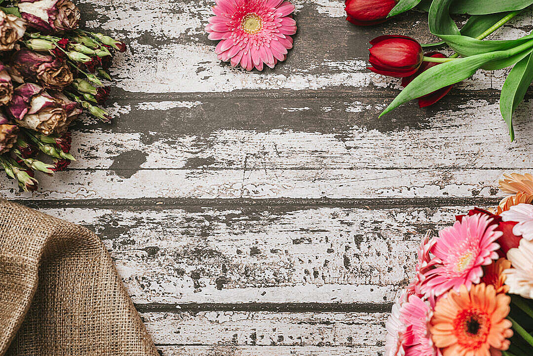 Spring Rustic Hero Background with Flowers