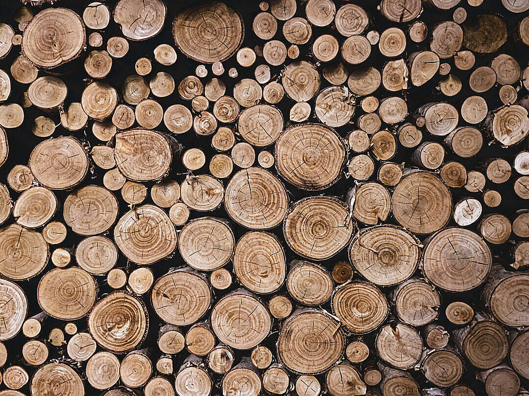 Download Stacked Pile of Firewood FREE Stock Photo