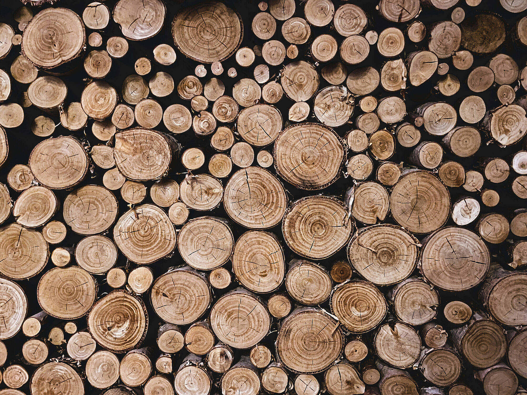 Stacked Pile of Firewood Free Stock Photo