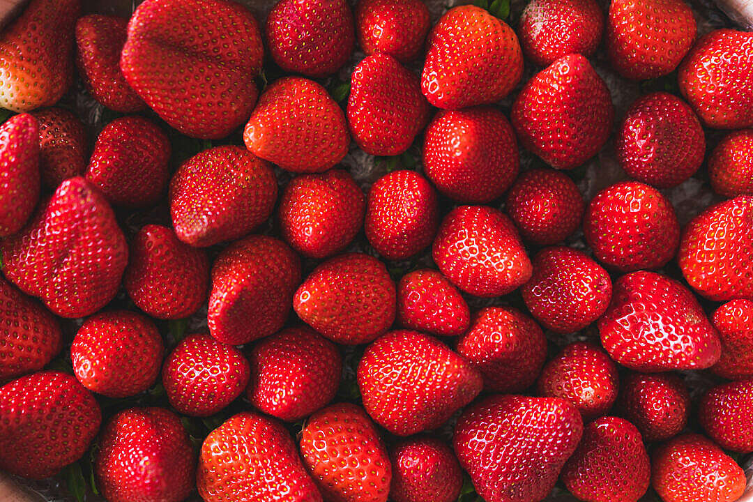 Download Strawberries Background FREE Stock Photo