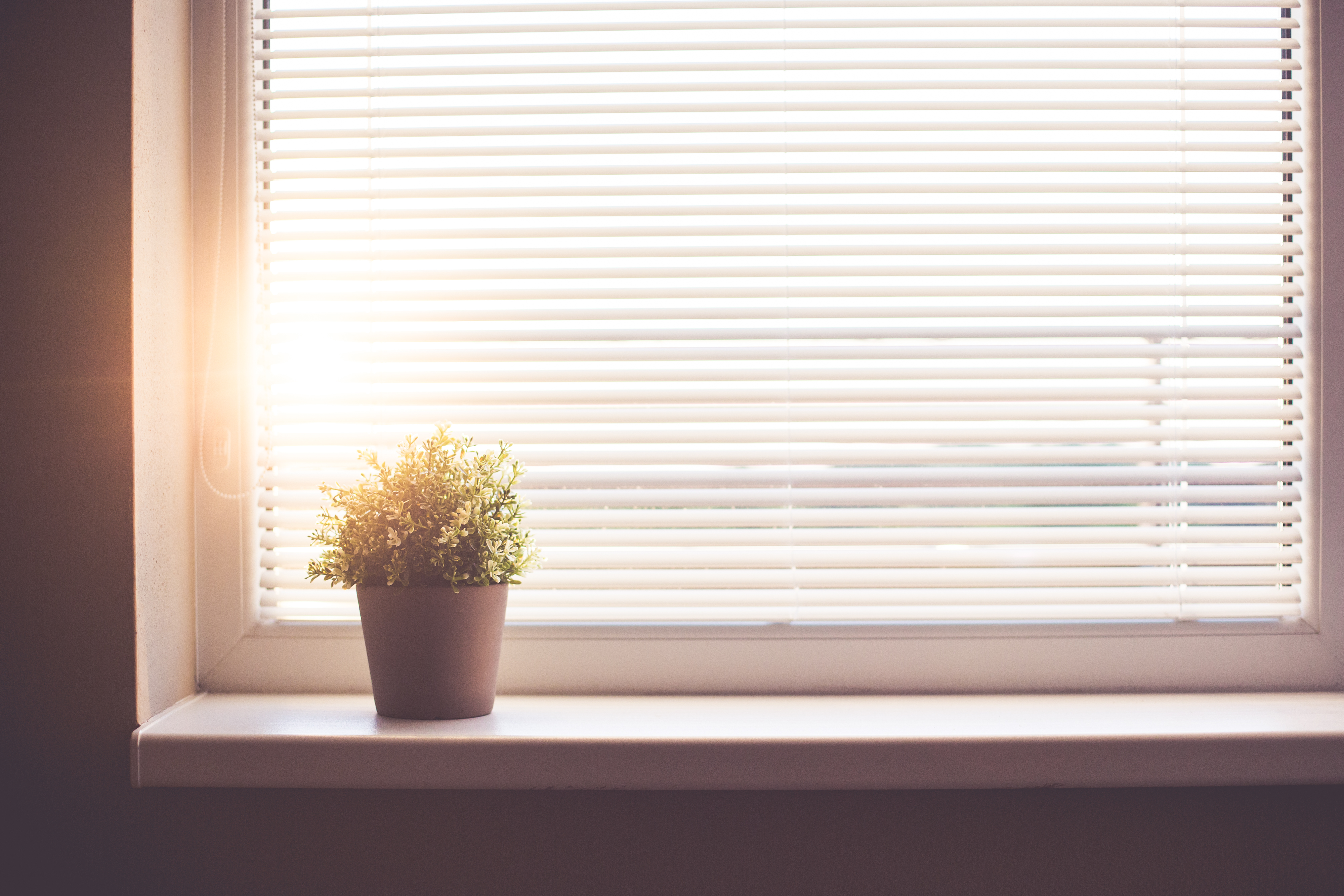 Sun Shining Through The Window With Sun Blind Free Stock Photo Picjumbo