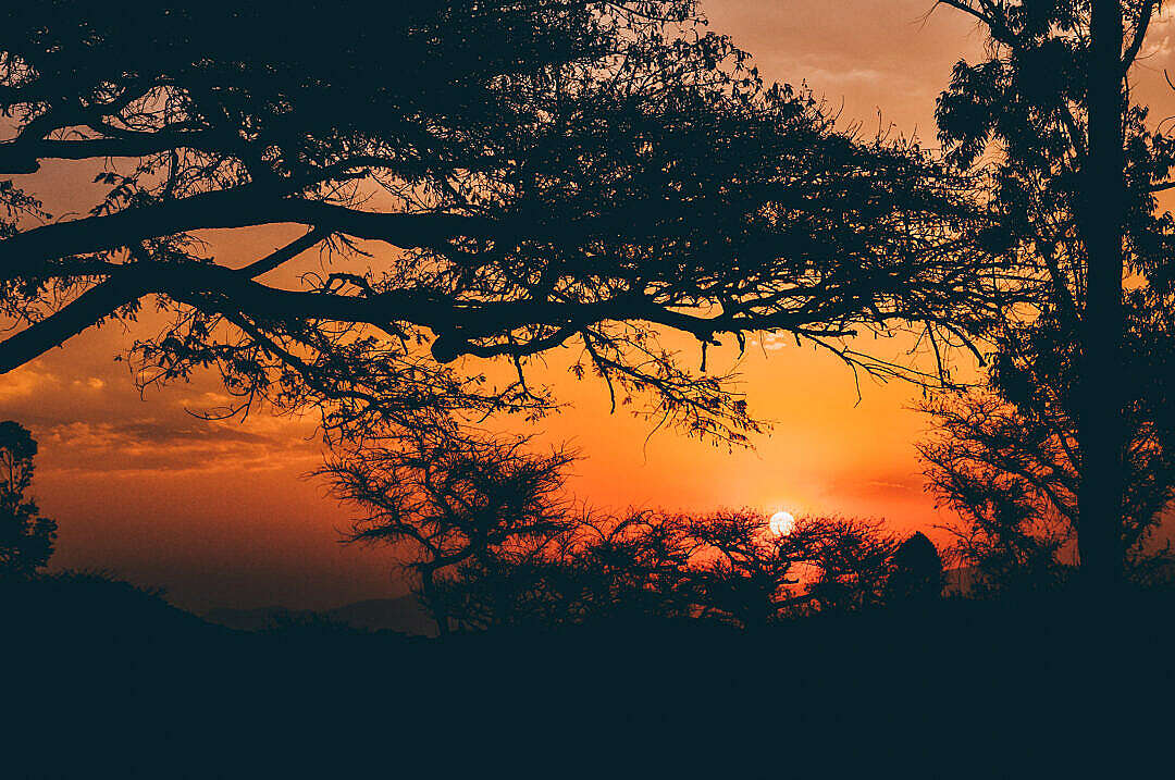 Sunset Golden Hour in Kenya Safari