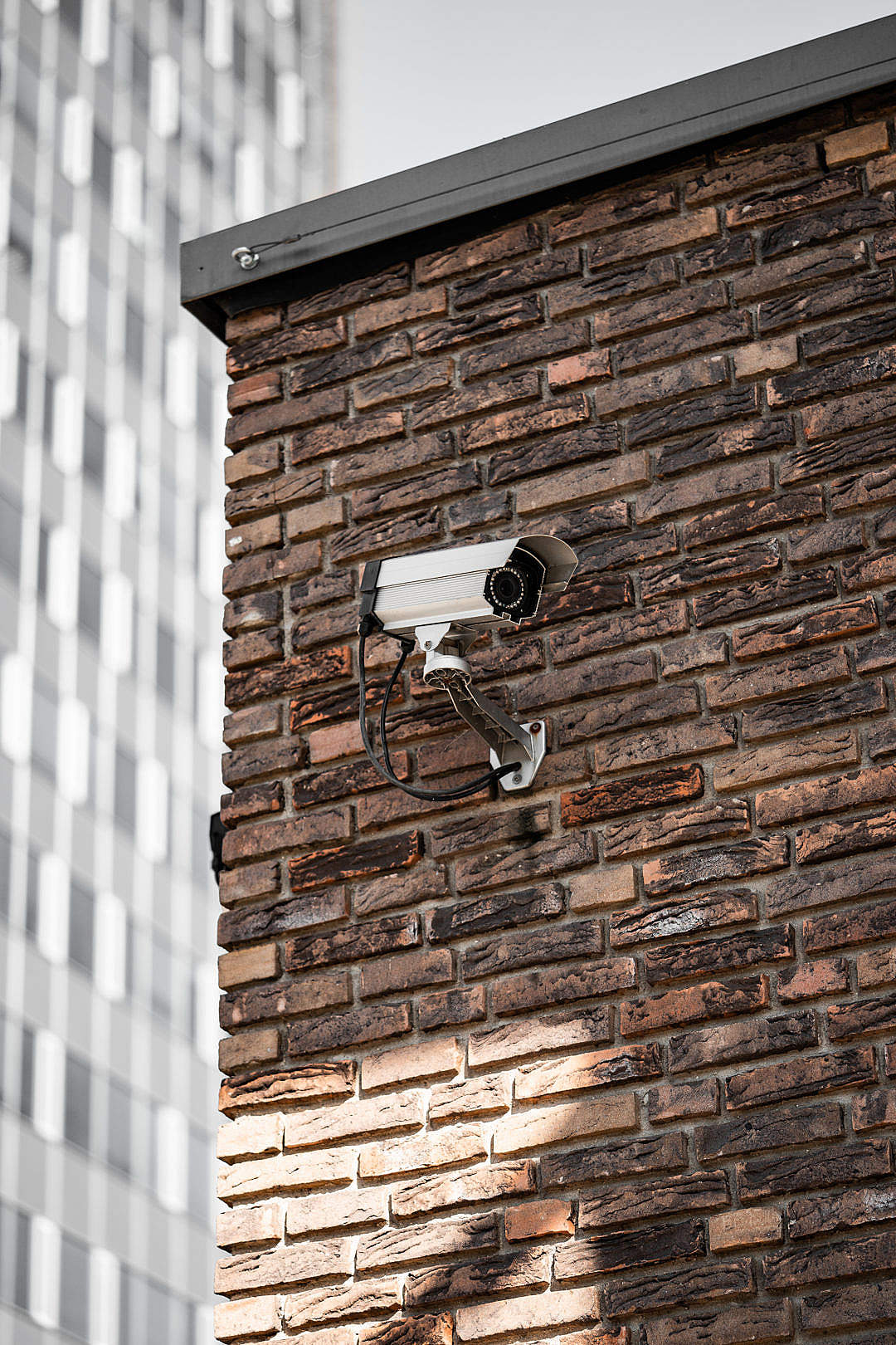 Download Surveillance Camera Vertical FREE Stock Photo
