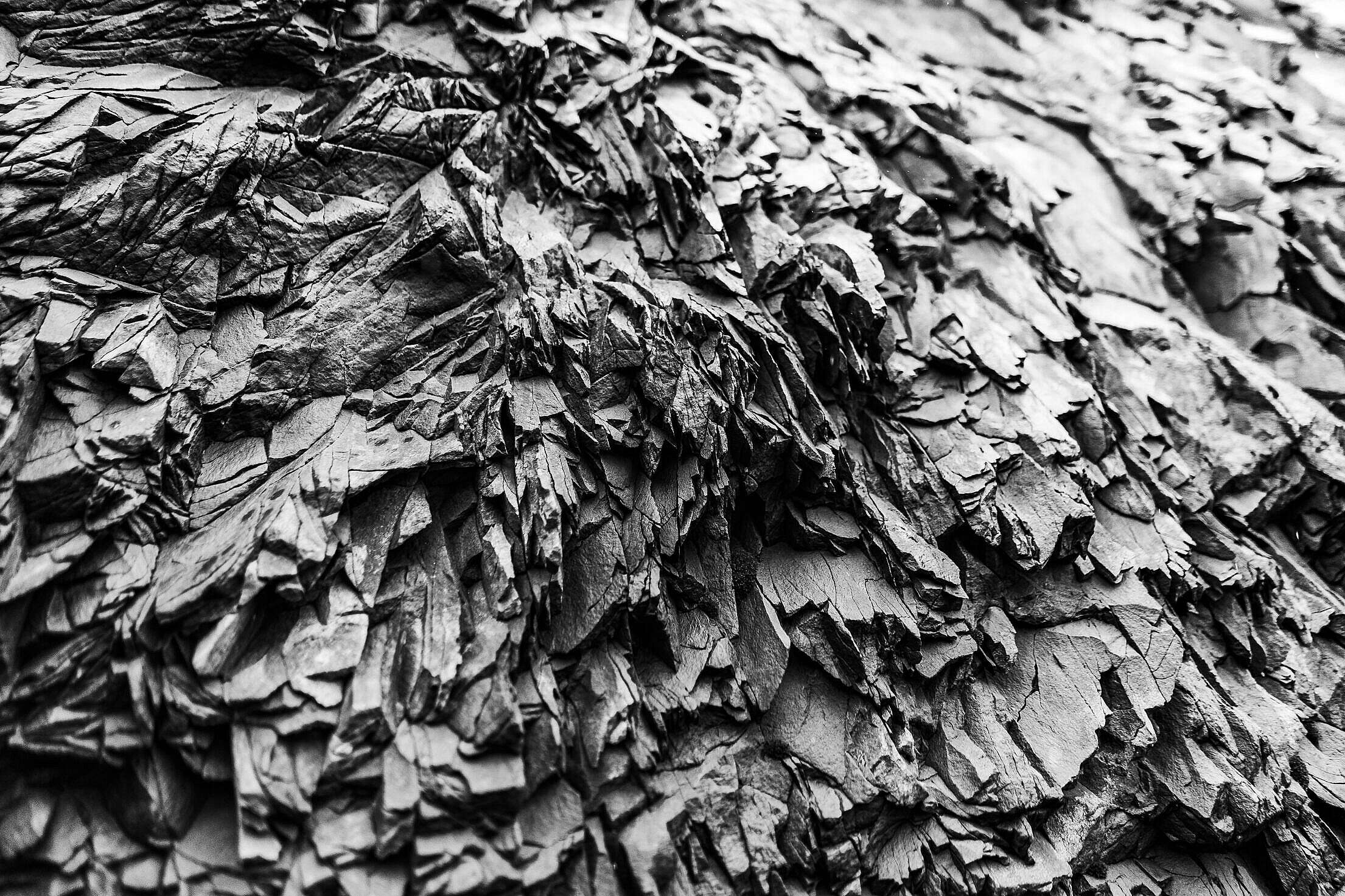 Texture of Black Rock in Iceland Free Stock Photo