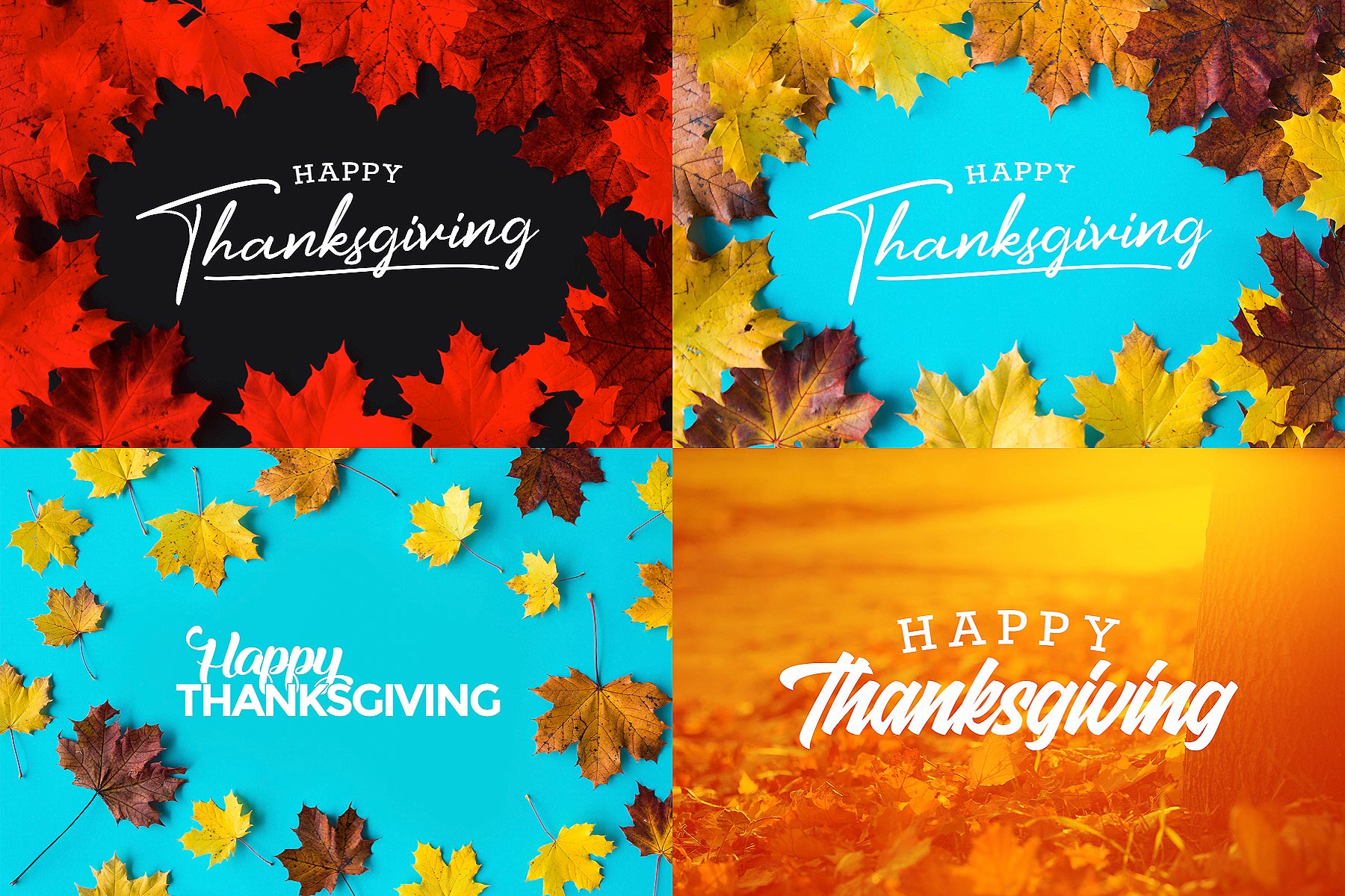 Happy Thanksgiving Design Graphics Download