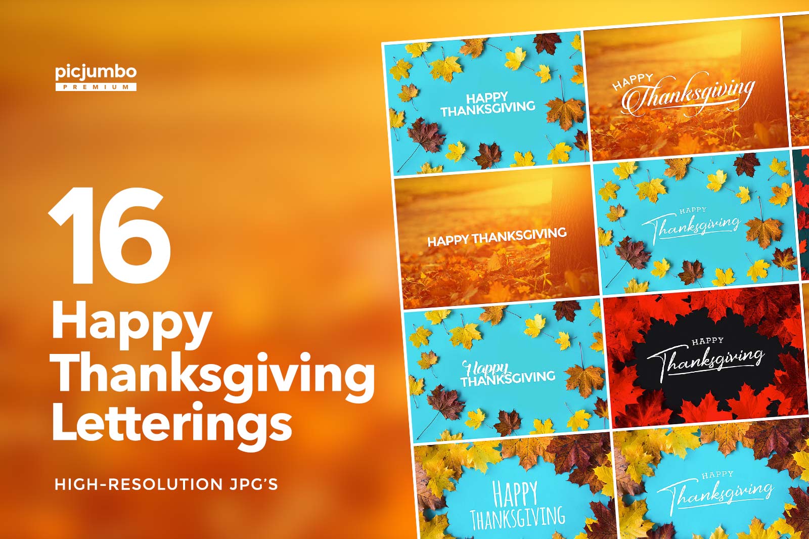 Download hi-res stock photos from our Happy Thanksgiving Letterings PREMIUM Collection!