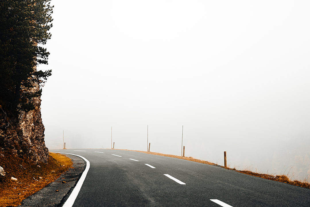 Download The Road in The Fog FREE Stock Photo