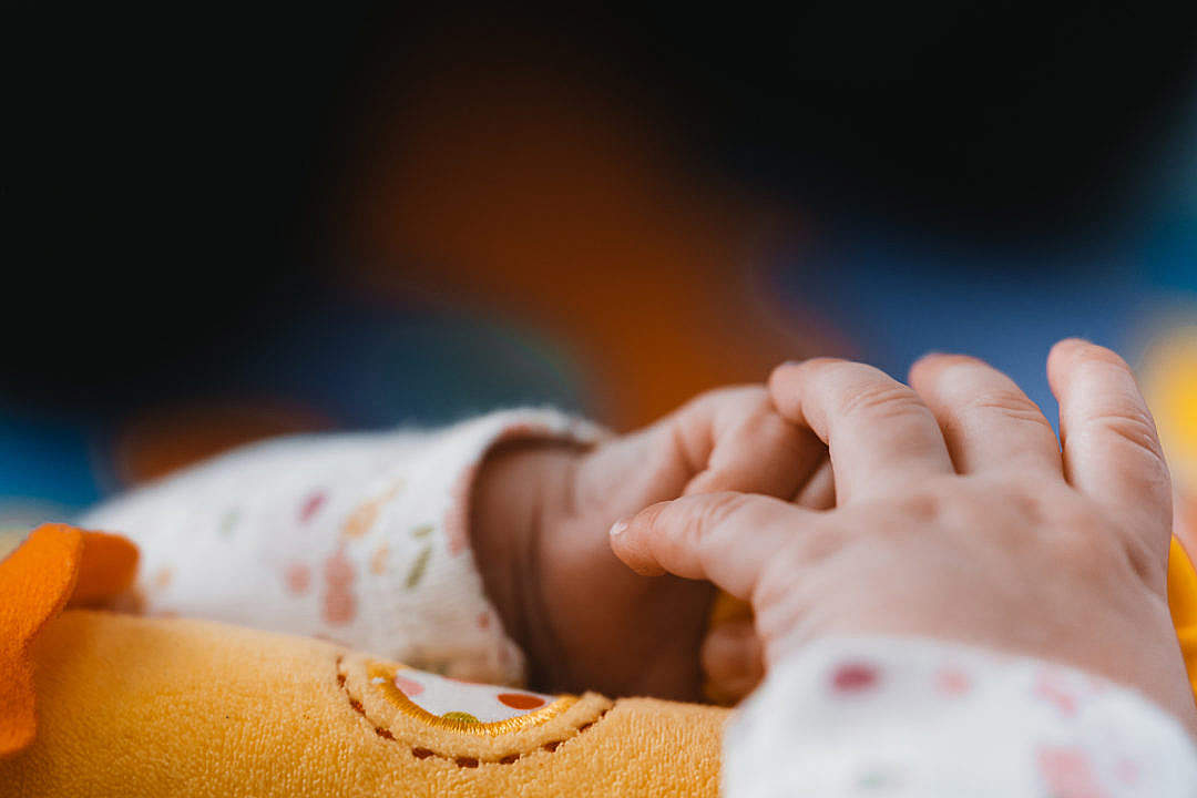 Download Tiny Baby Hands FREE Stock Photo