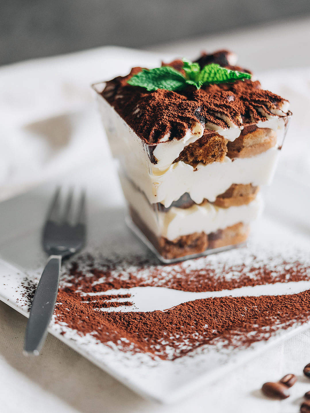 Download Tiramisu Served with Fork Outline Dusted with Cocoa Powder FREE Stock Photo