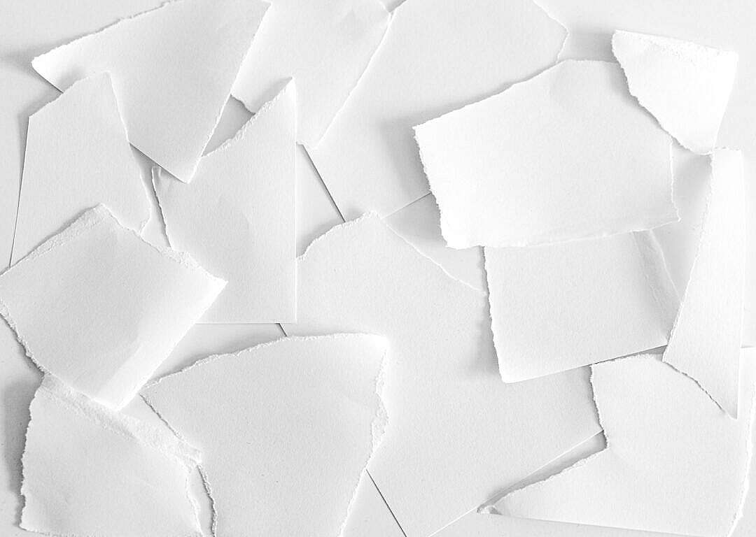 Download Torn Paper FREE Stock Photo