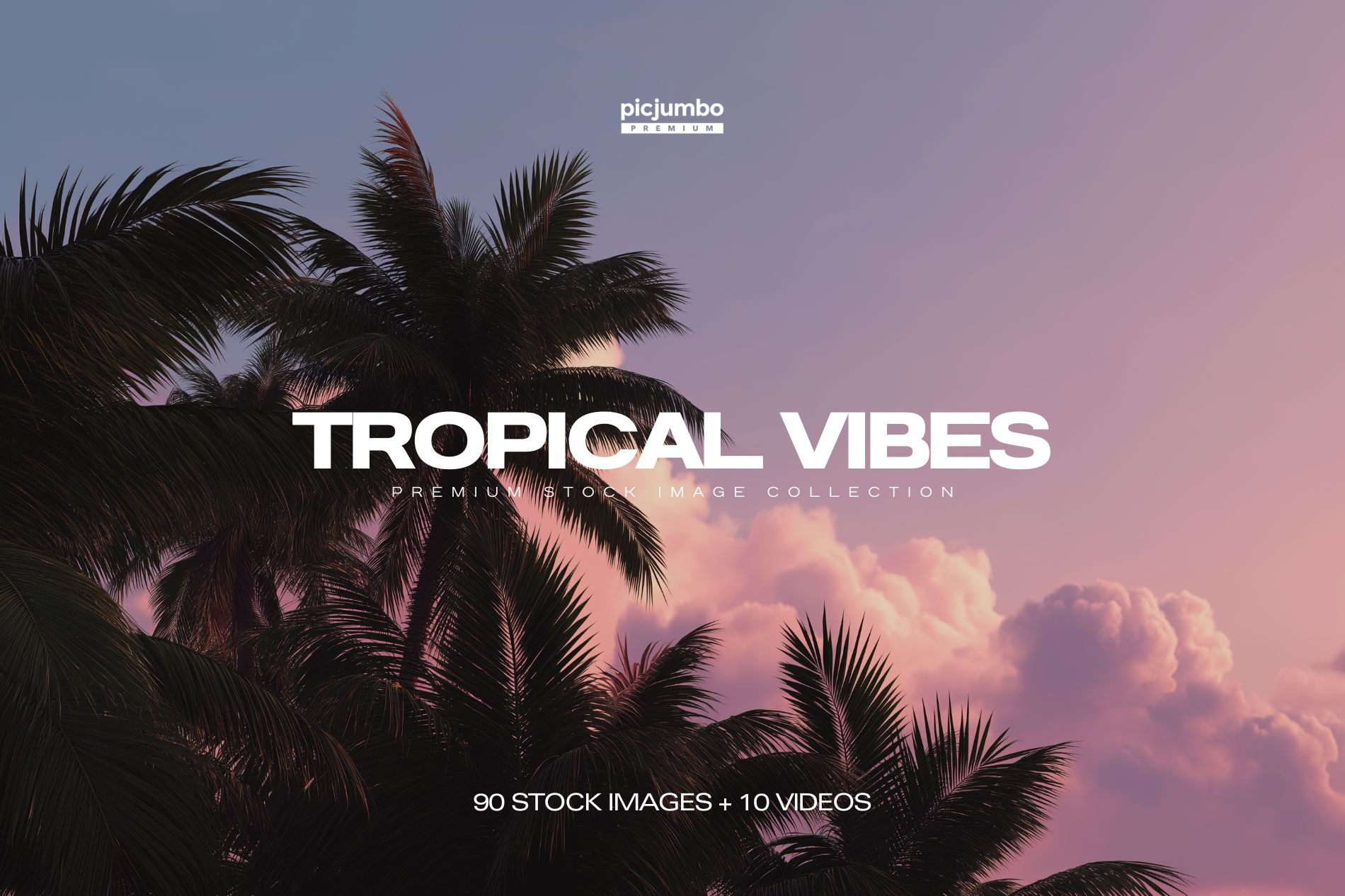 Download hi-res stock photos from our Tropical Vibes PREMIUM Collection!