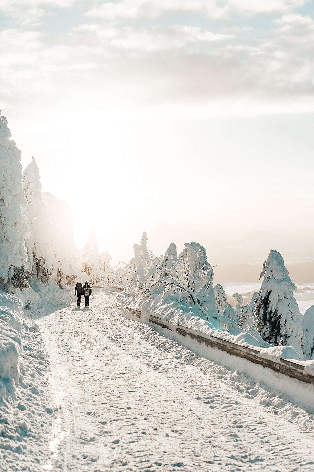 Two Persons Walking on Snow Covered Road