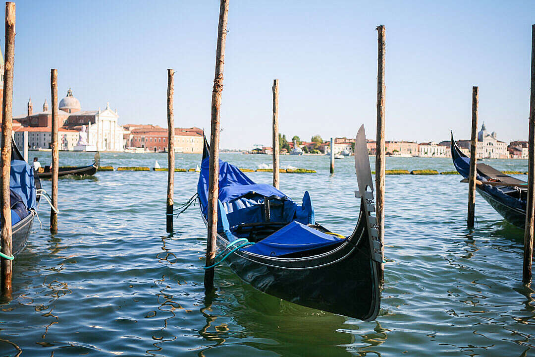 Download Venice Gondola FREE Stock Photo