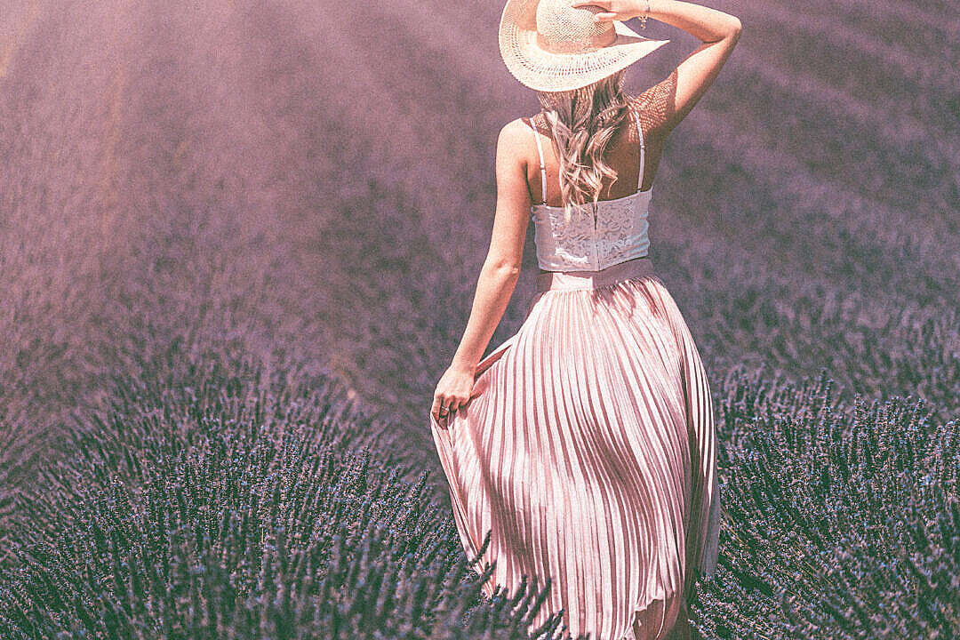 Vintage Lavender Field