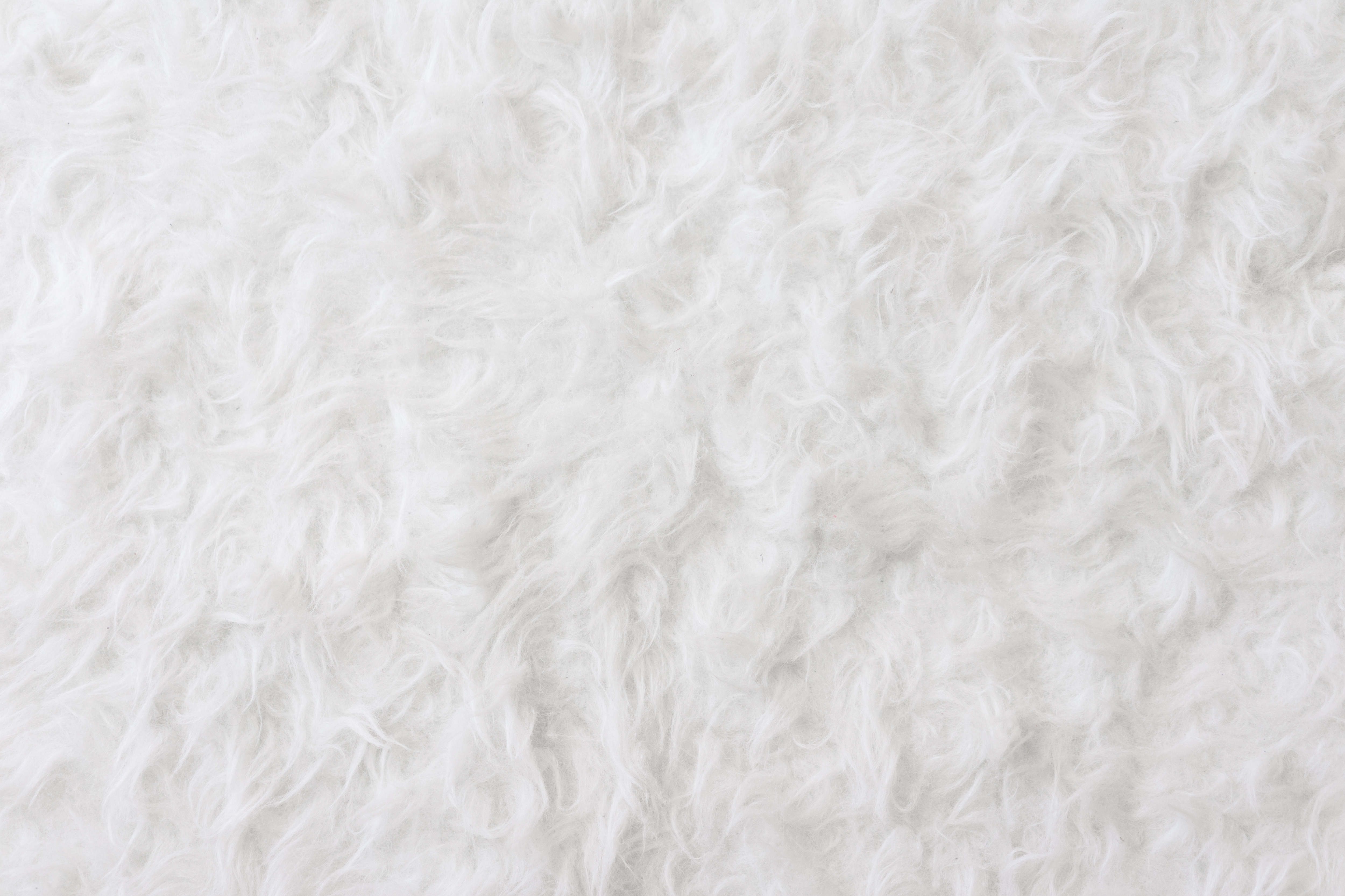 White Eco Fur Pattern Background Free Stock Photo