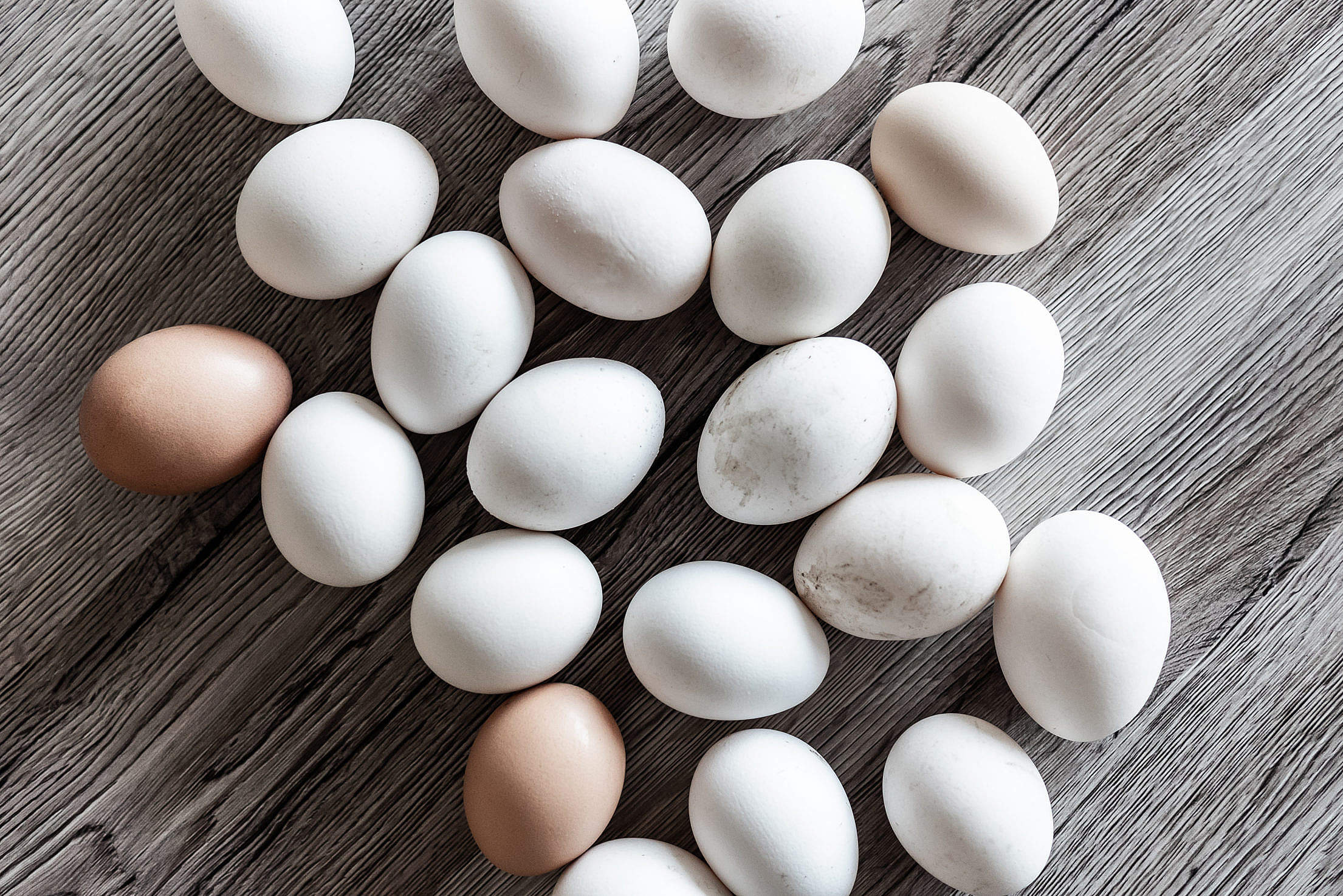 White Eggs Natural Free Stock Photo picjumbo