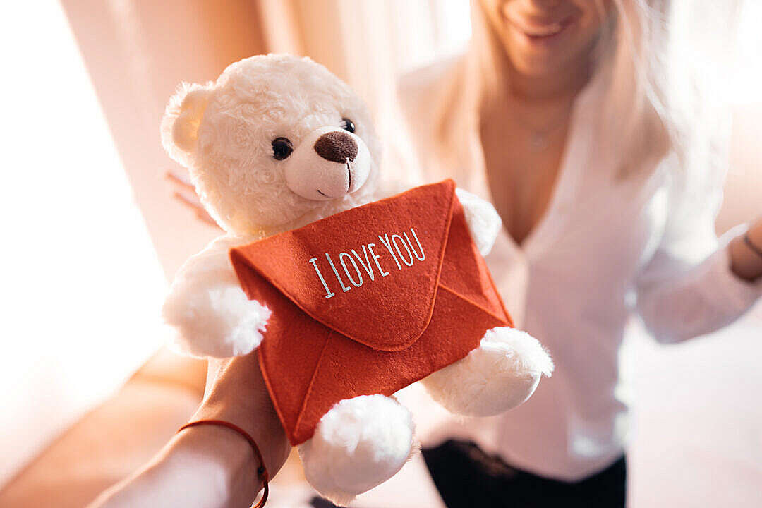 Download White Teddy Bear Valentine’s Day Gift FREE Stock Photo