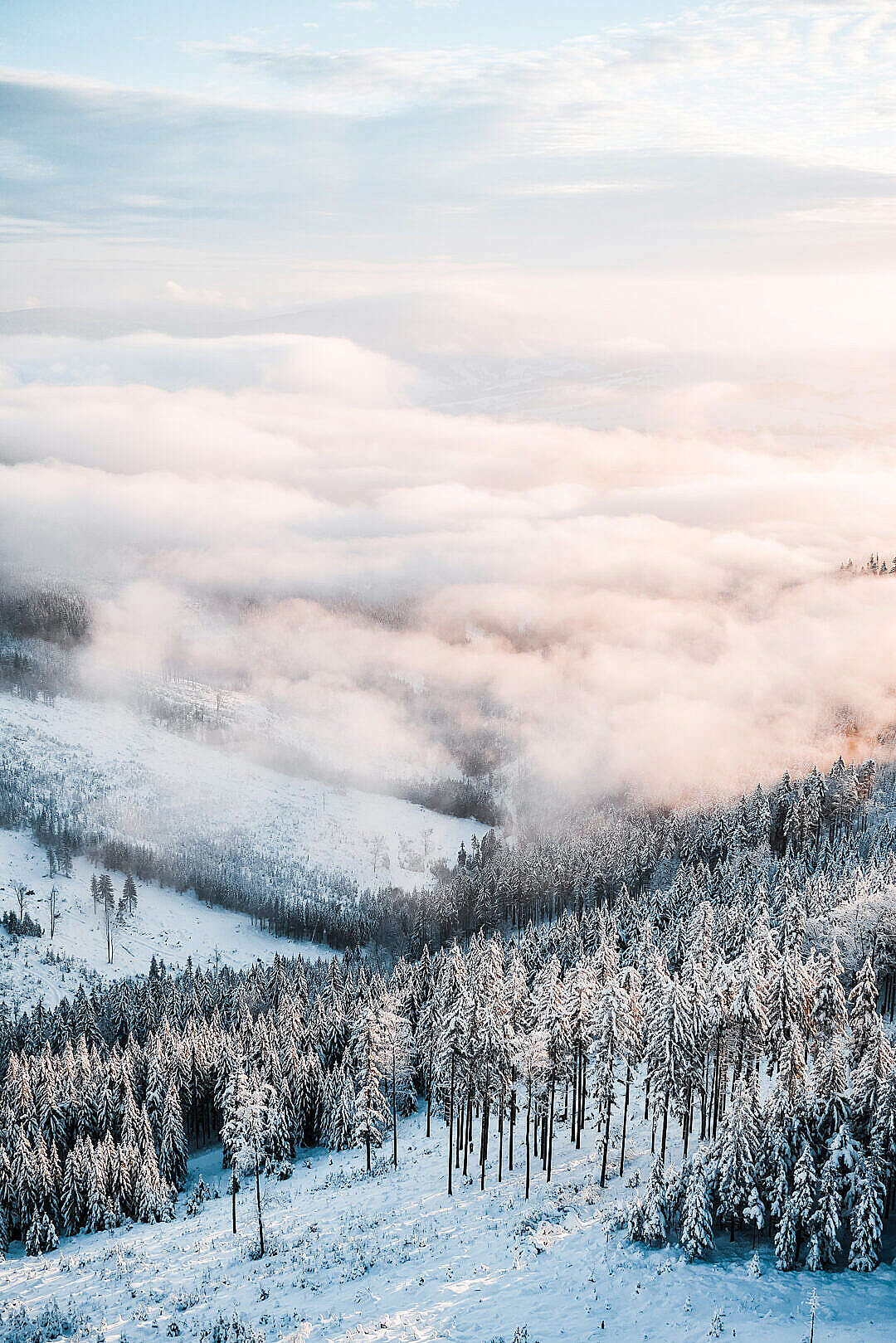 Winter Mountains Scenery Vertical
