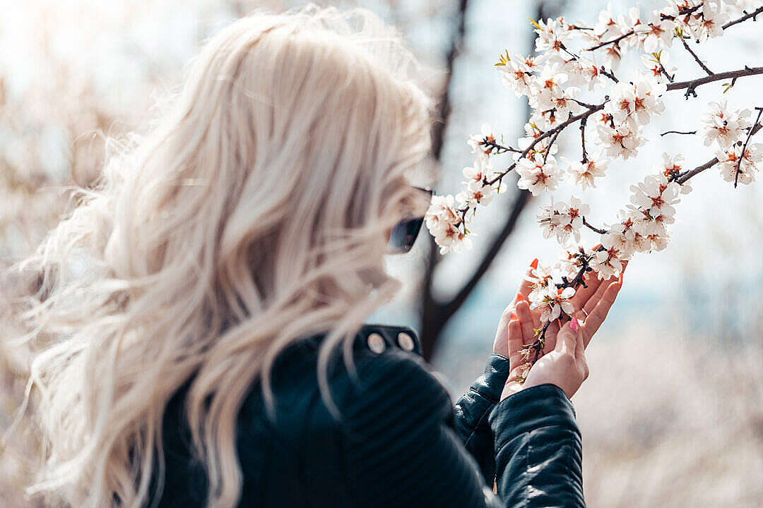 Woman Admiring Beautiful Almond Blossoms