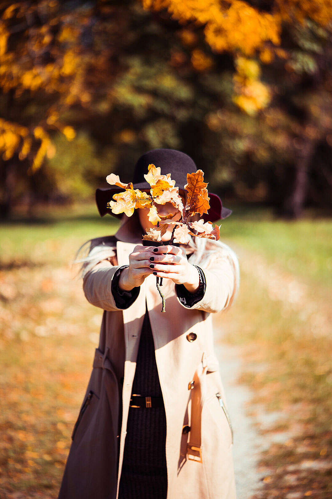 Woman Covering Her Face with Autumn Leaves