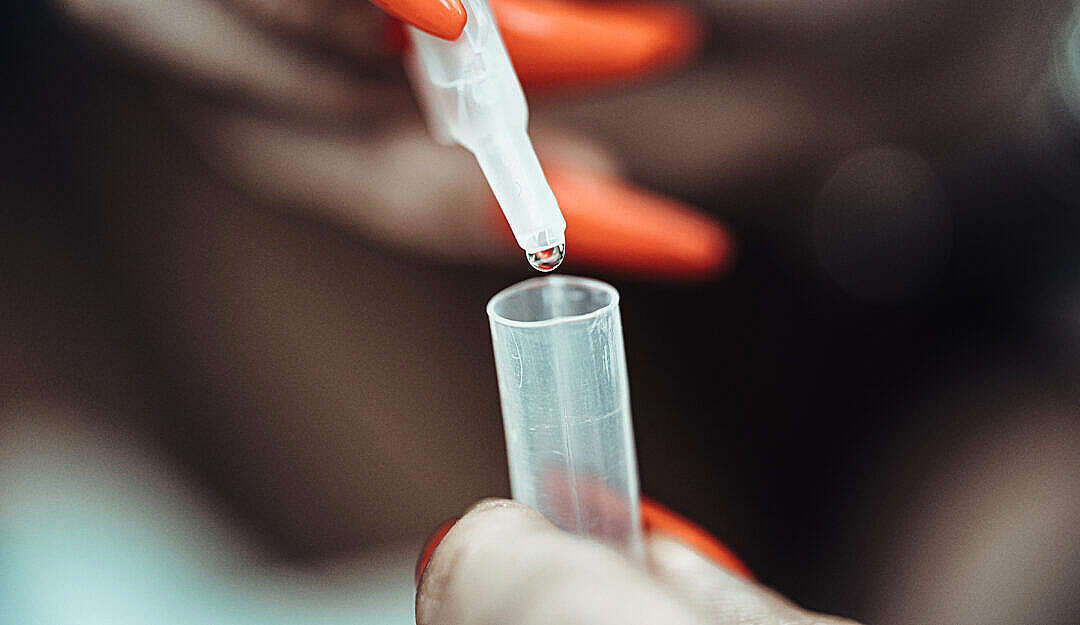Download Woman Doing Covid Antigen Self Testing FREE Stock Photo