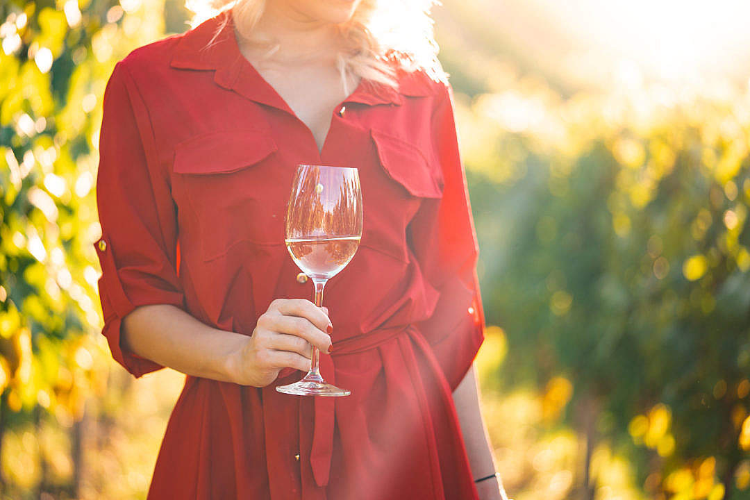 Download Woman Drinking Wine FREE Stock Photo